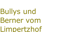 Bullys und Berner vom Limpertzhof