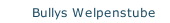 Bullys Welpenstube