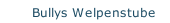 Bullys Welpenstube