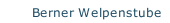 Berner Welpenstube