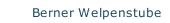 Berner Welpenstube